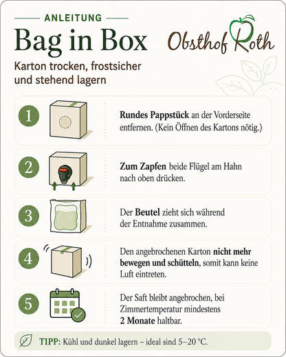 Anleitung Bag in Box